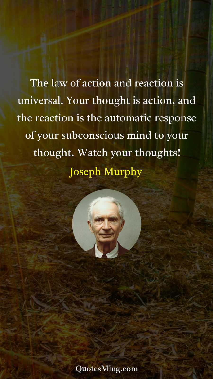 The law of action and reaction is universal Your thought