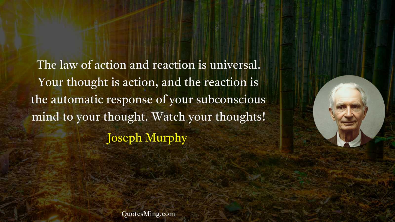 The law of action and reaction is universal Your thought