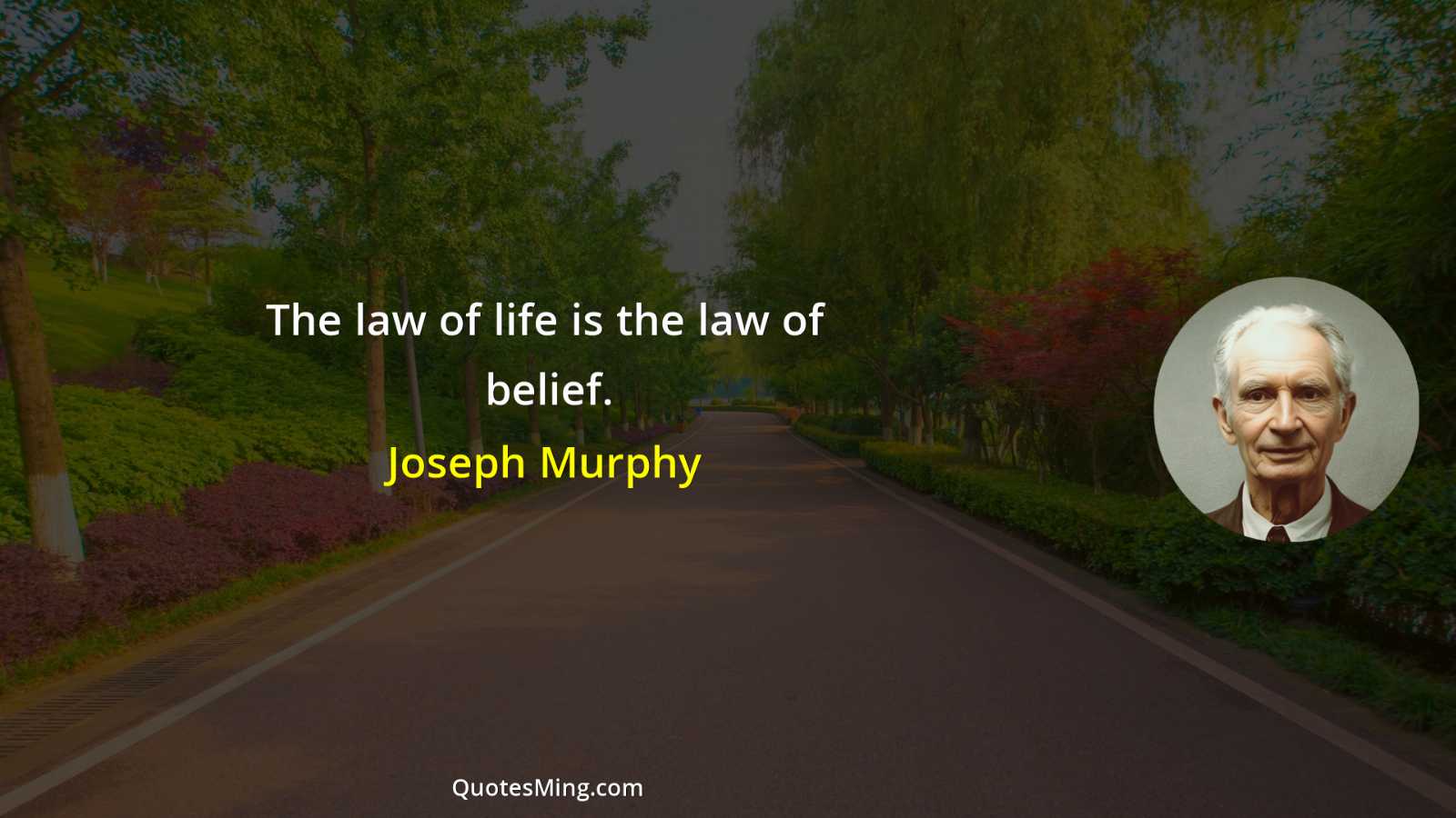 The law of life is the law of belief