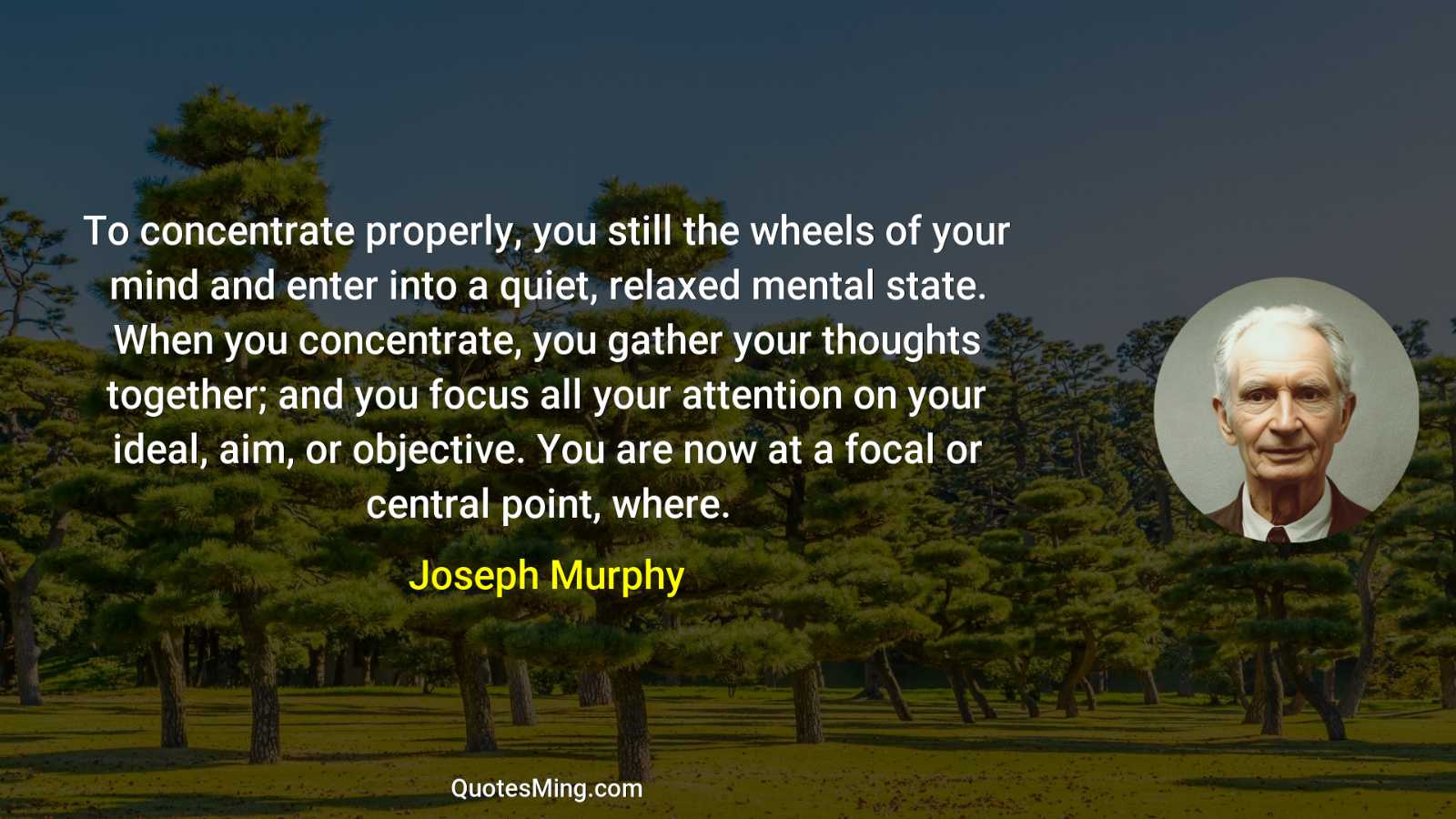 To concentrate properly you still the wheels of your mind