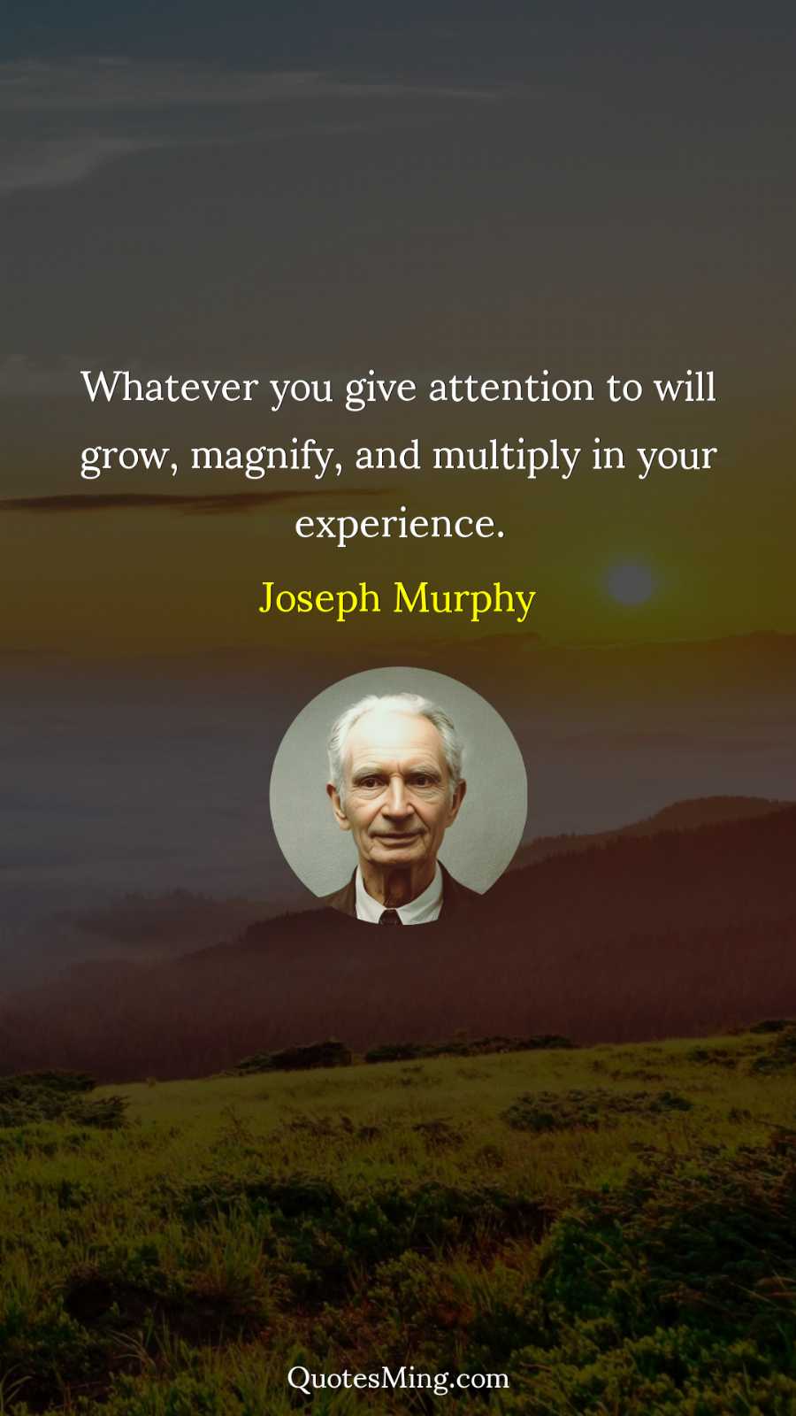 Whatever you give attention to will grow magnify and multiply