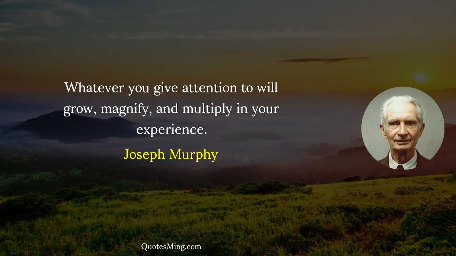 Whatever you give attention to will grow magnify and multiply