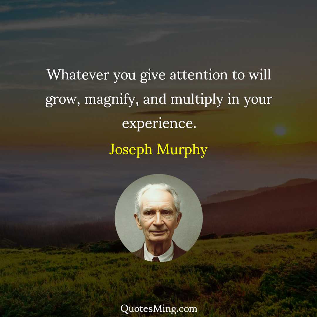 Whatever you give attention to will grow magnify and multiply