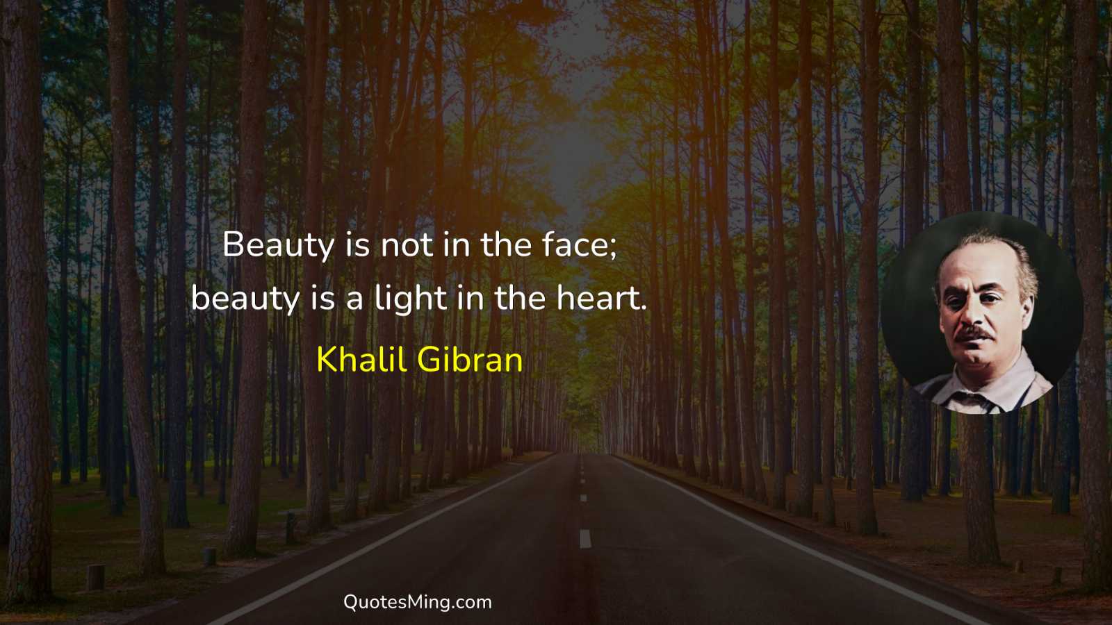 Beauty is not in the face; beauty is a light