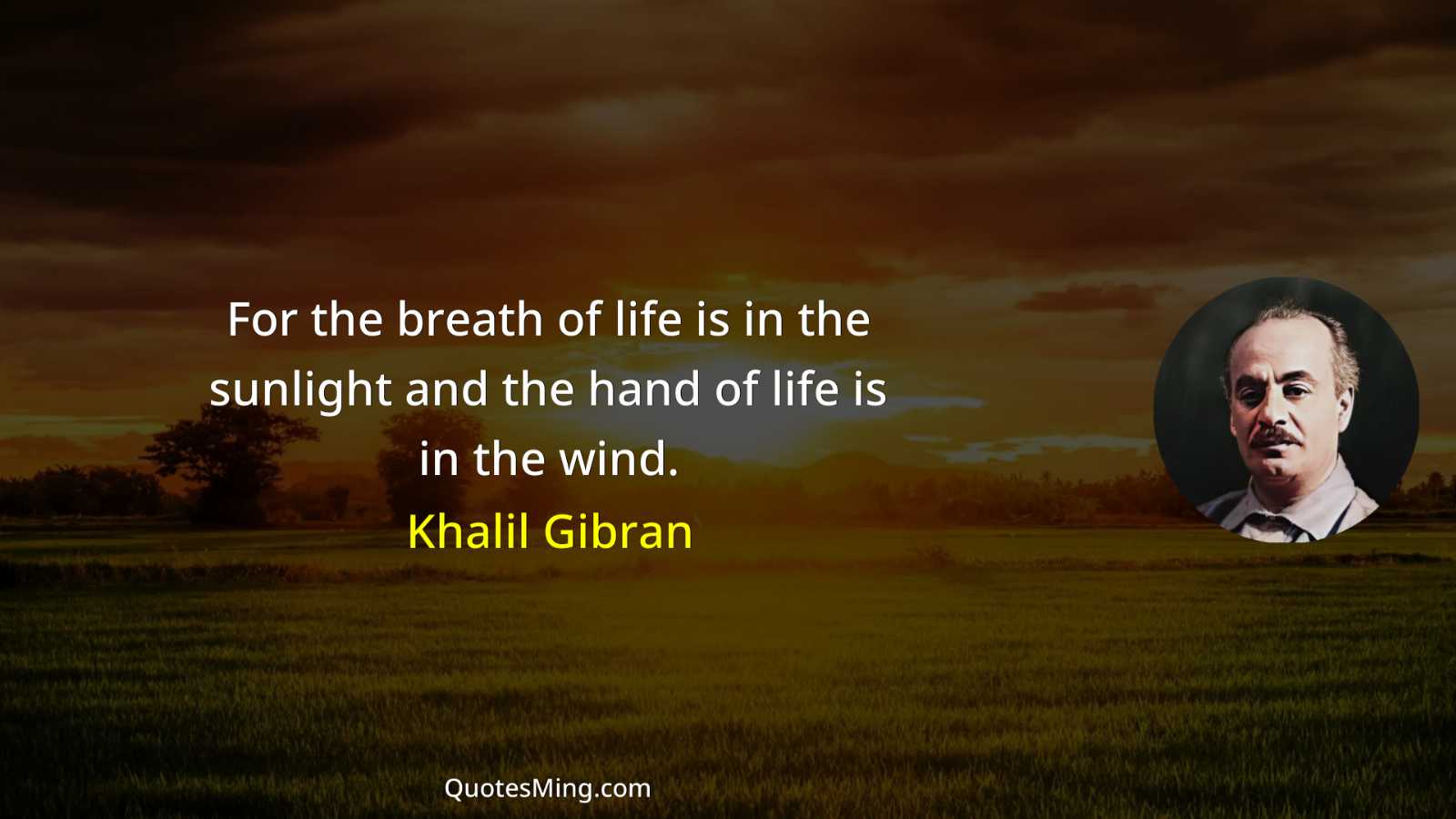 For the breath of life is in the sunlight and