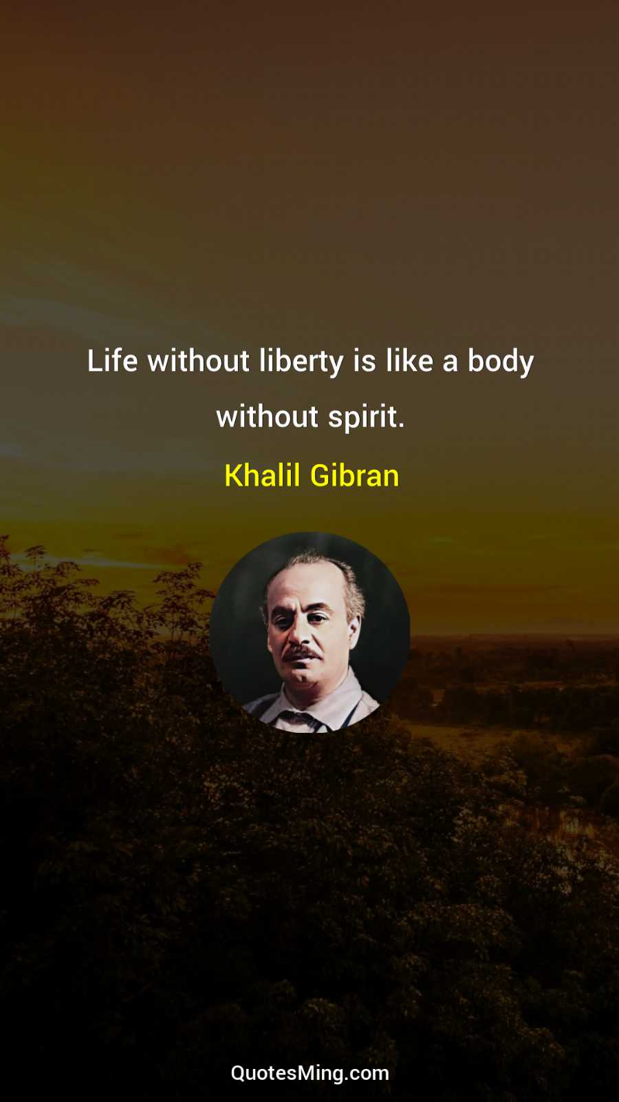 Life without liberty is like a body without spirit