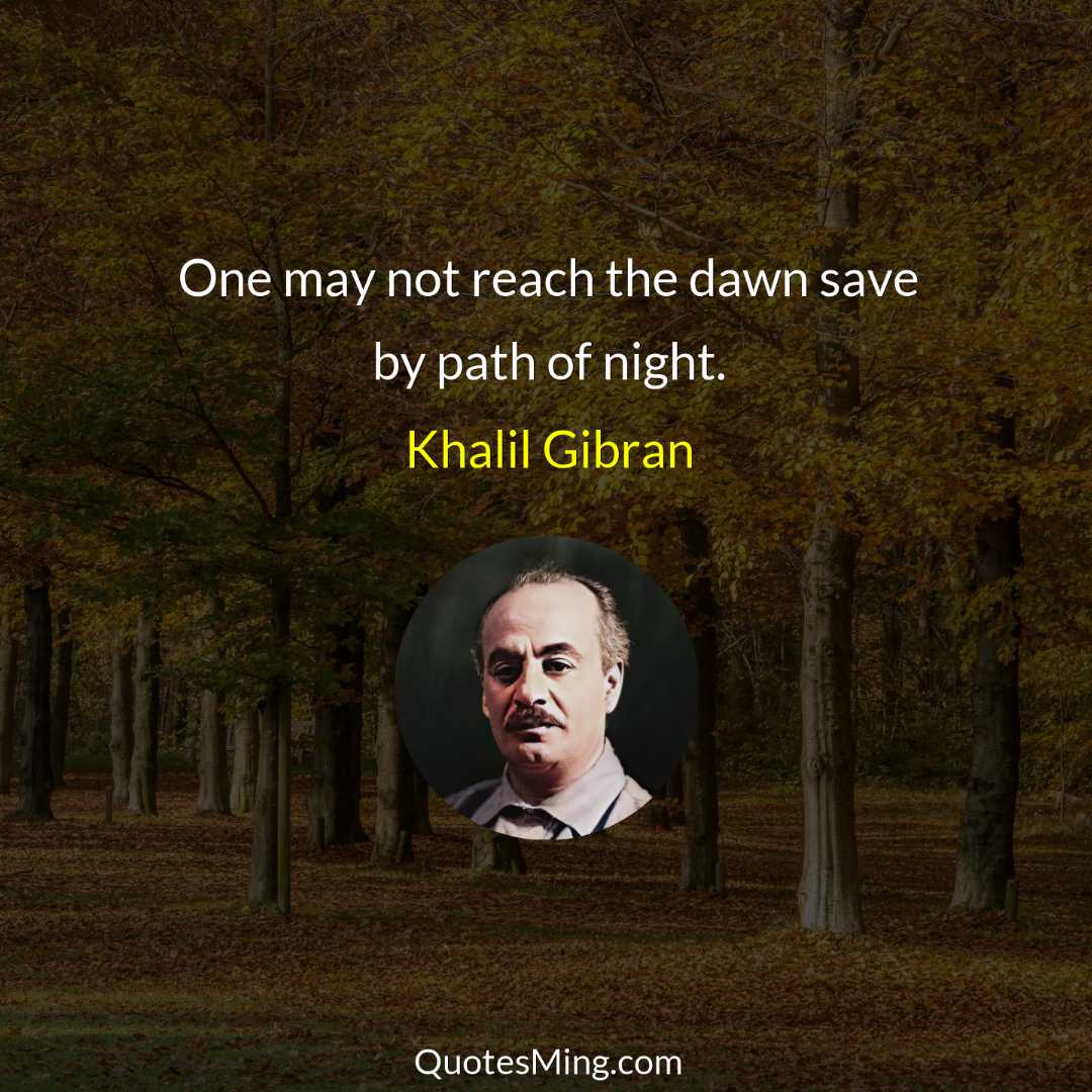 One may not reach the dawn save by path of