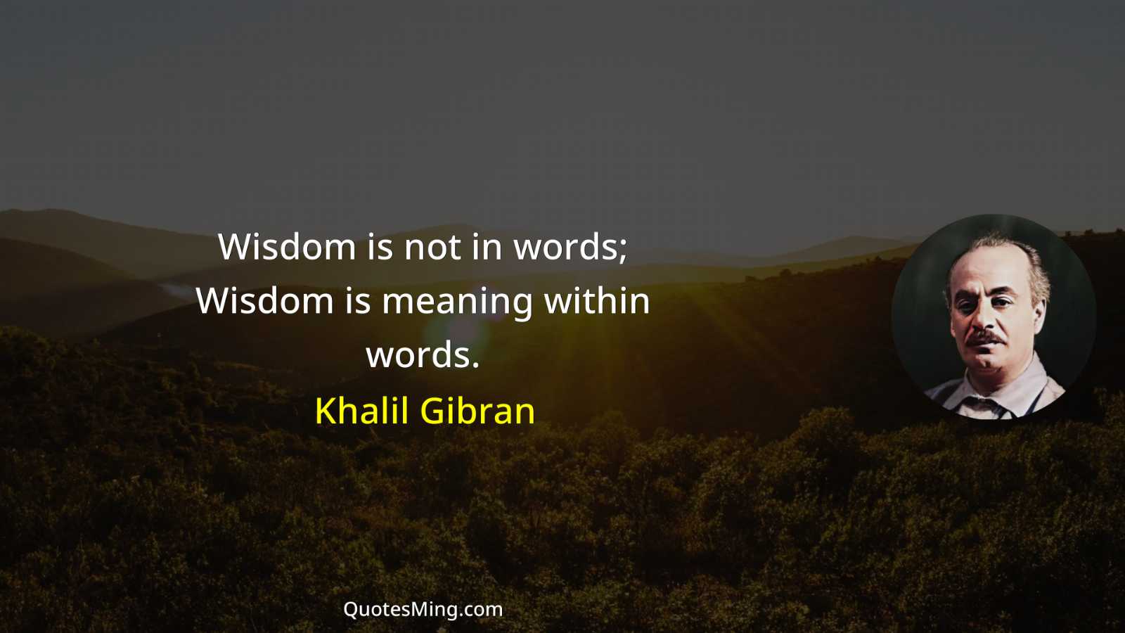 Wisdom is not in words; Wisdom is meaning within words