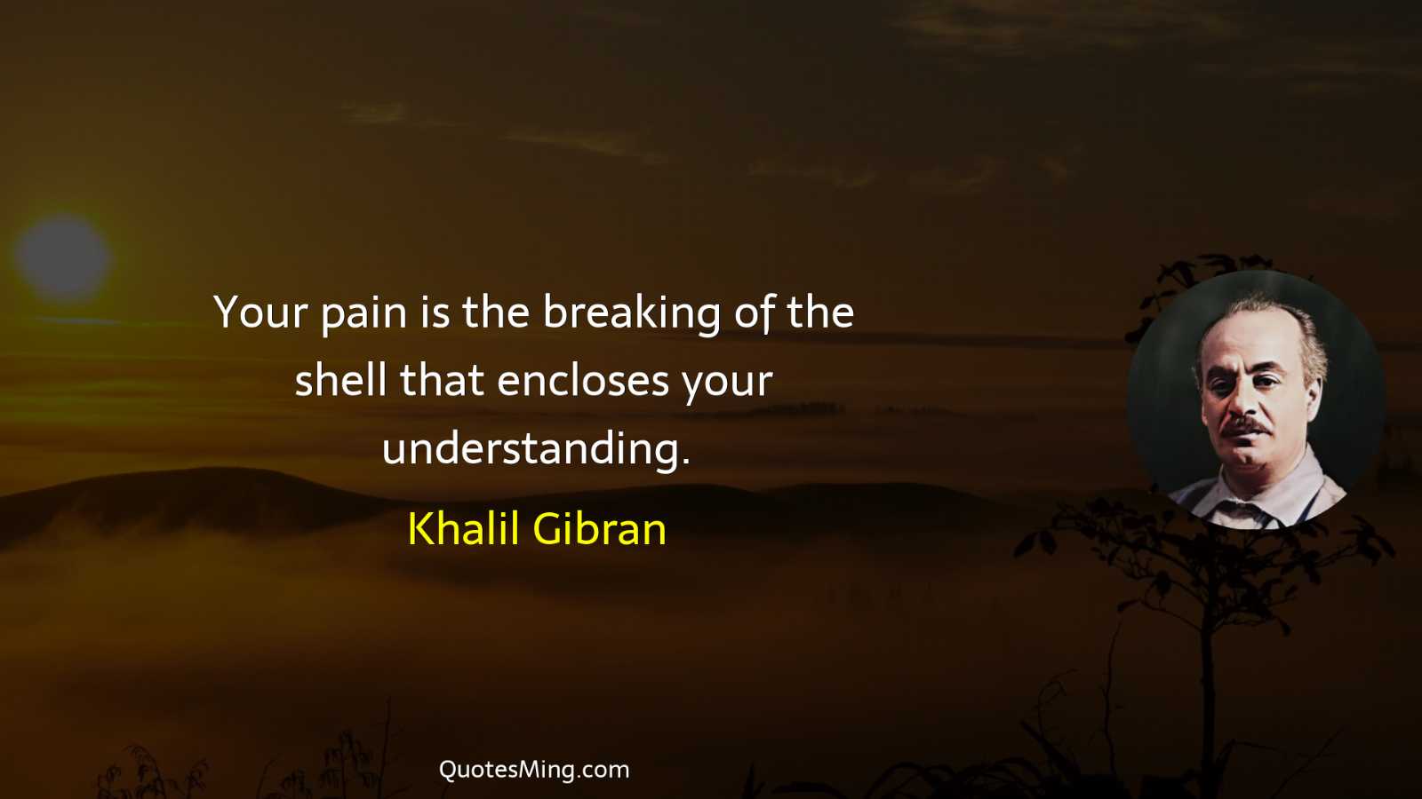 Your pain is the breaking of the shell that encloses