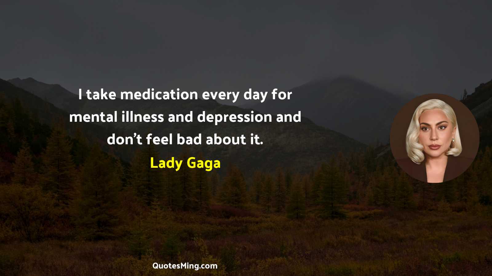 I take medication every day for mental illness and depression