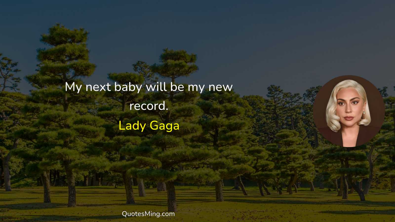 My next baby will be my new record