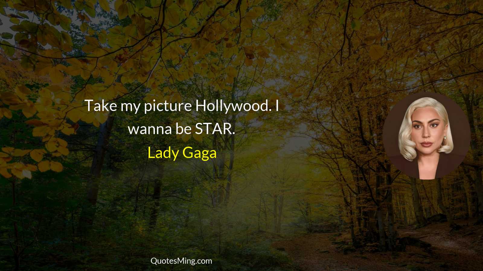 Take my picture Hollywood I wanna be STAR