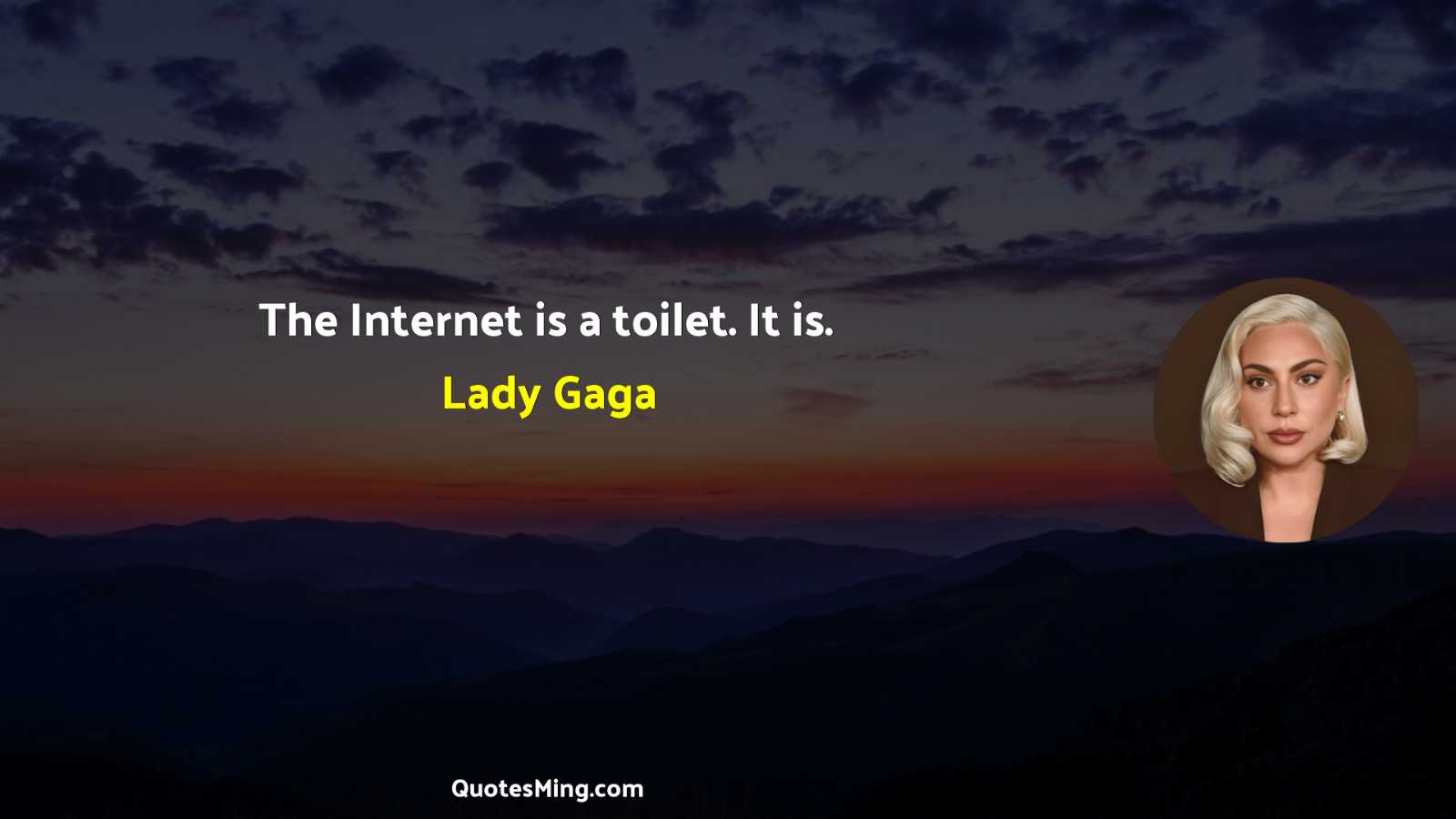 The Internet is a toilet It is