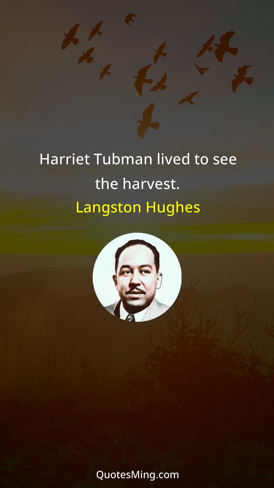 Harriet Tubman lived to see the harvest