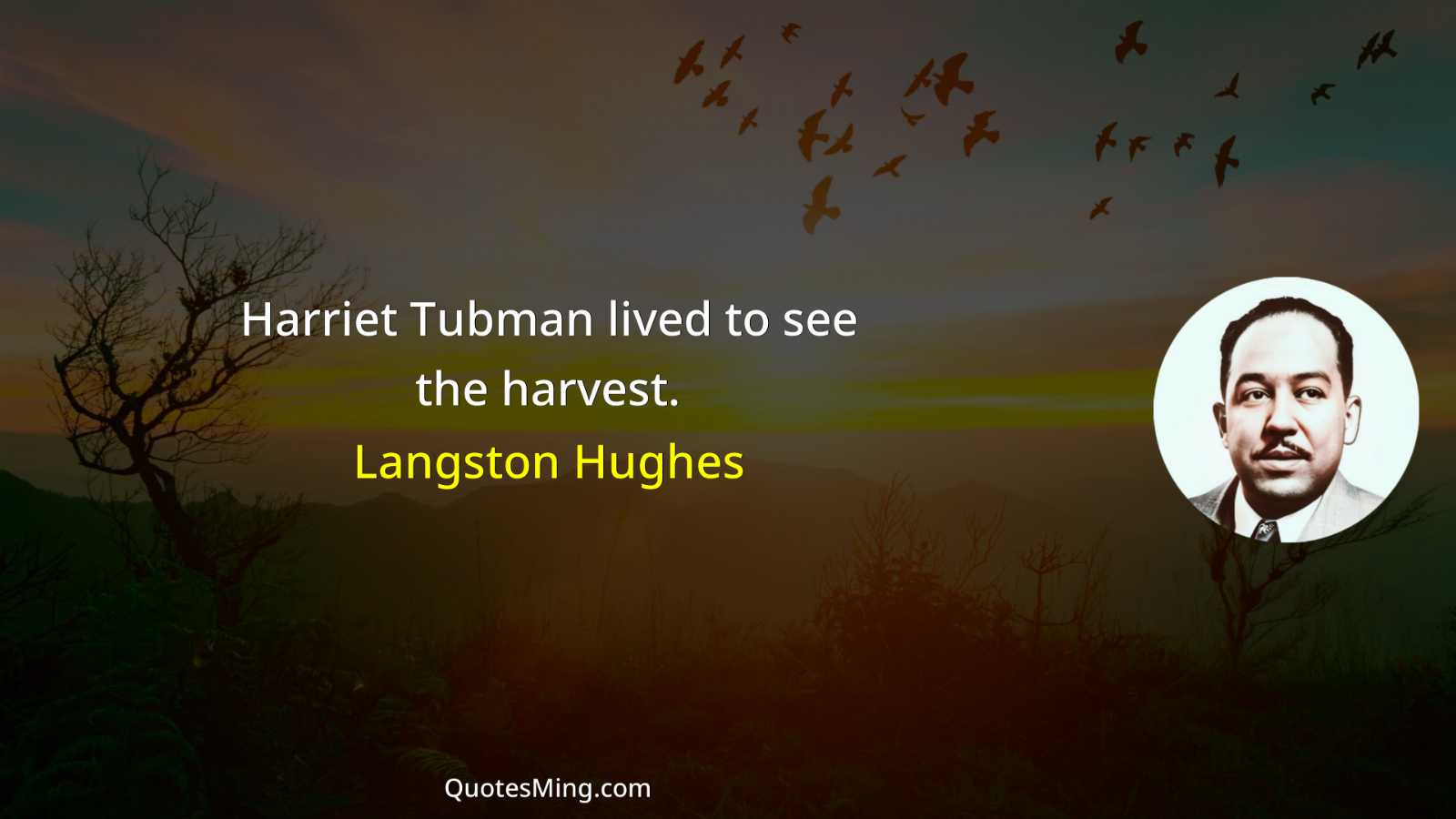 Harriet Tubman lived to see the harvest