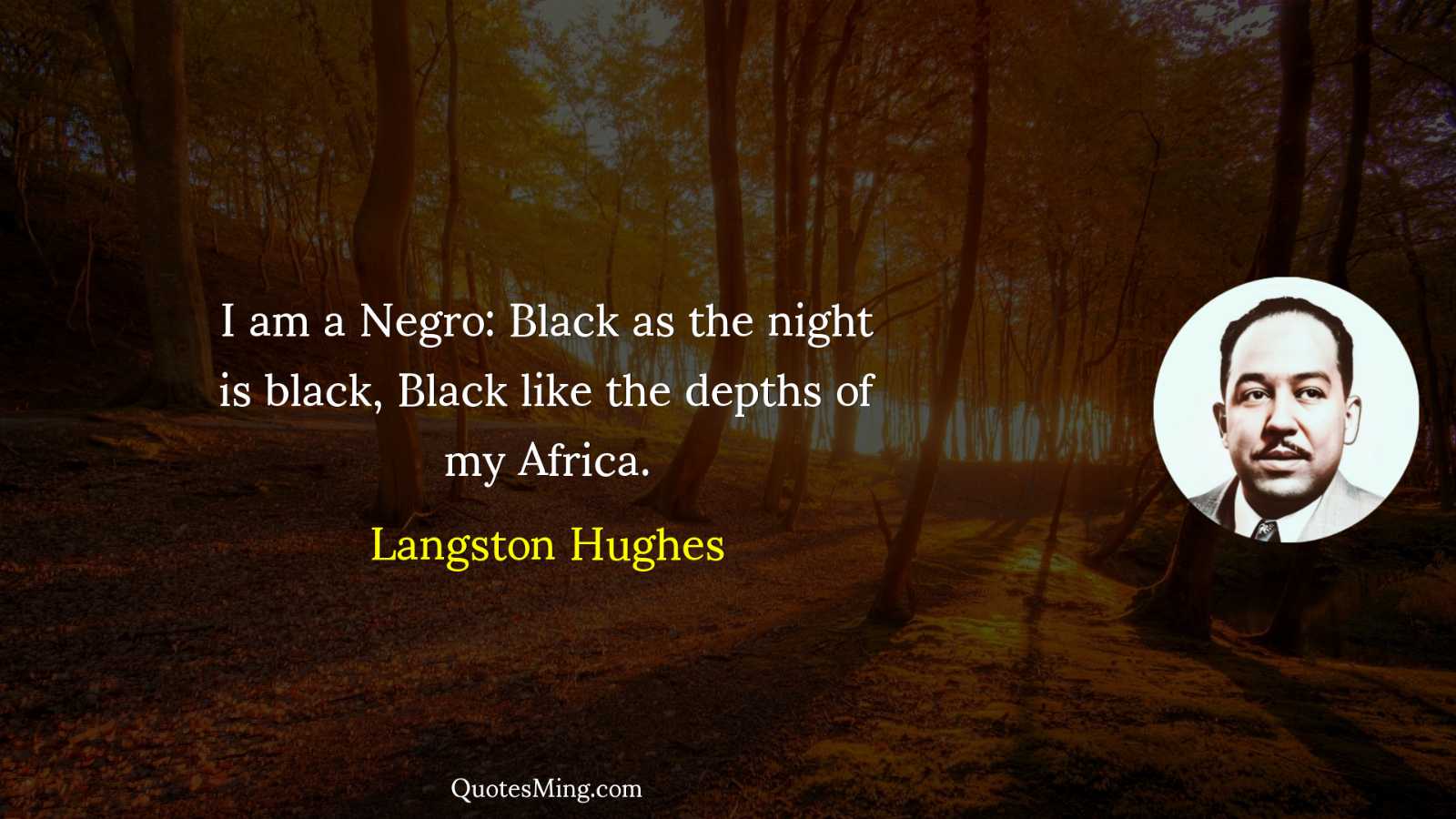 I am a Negro: Black as the night is black