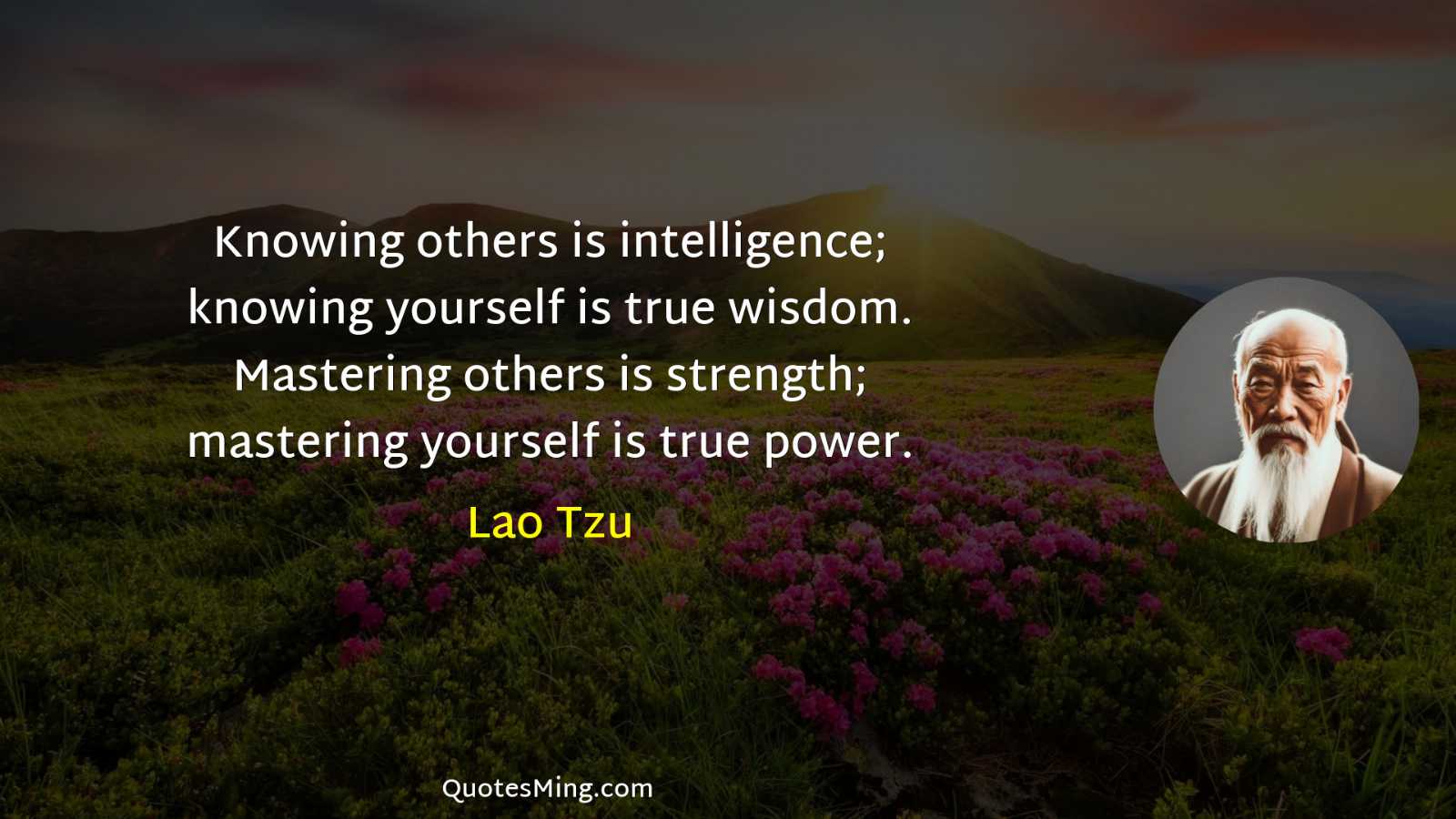 Knowing others is intelligence; knowing yourself is true wisdom Mastering