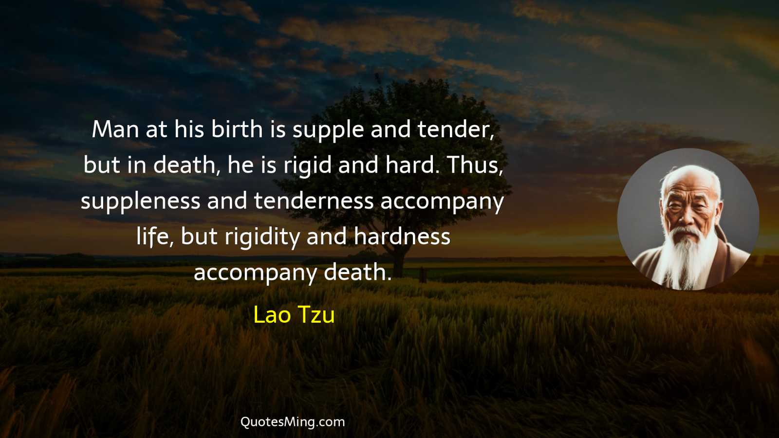 Man at his birth is supple and tender but in