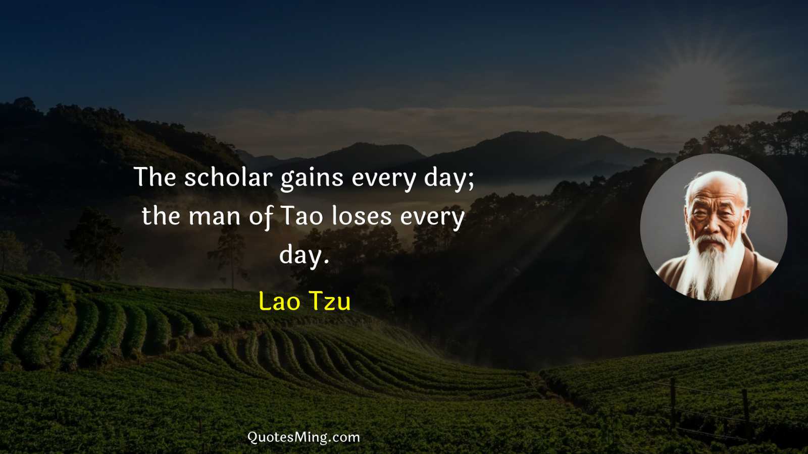 The scholar gains every day; the man of Tao loses