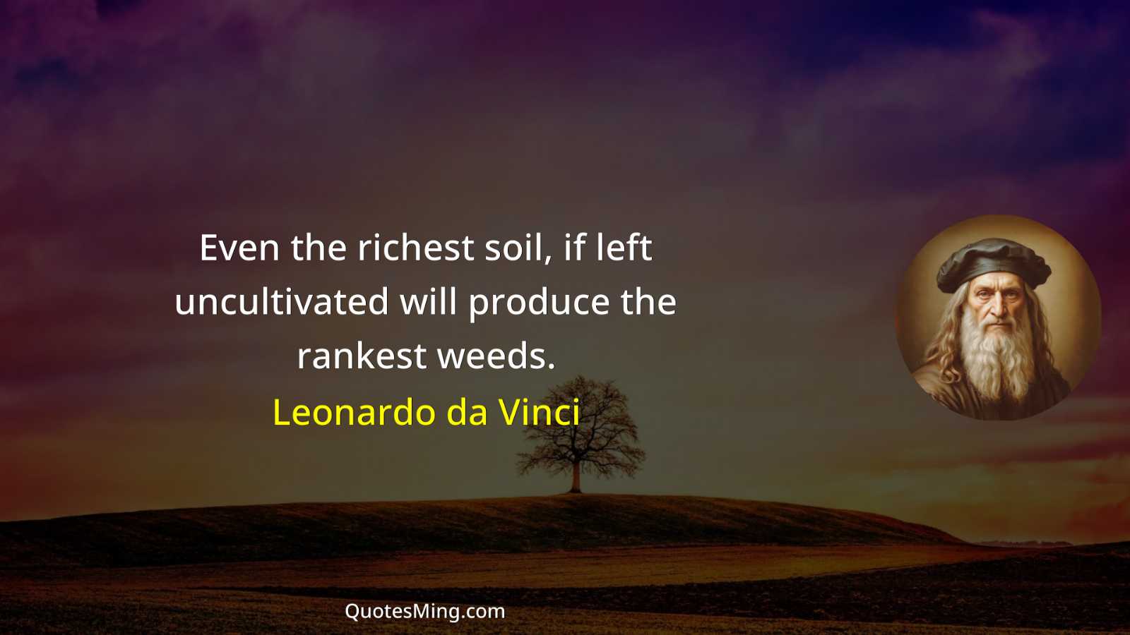 Even the richest soil if left uncultivated will produce the