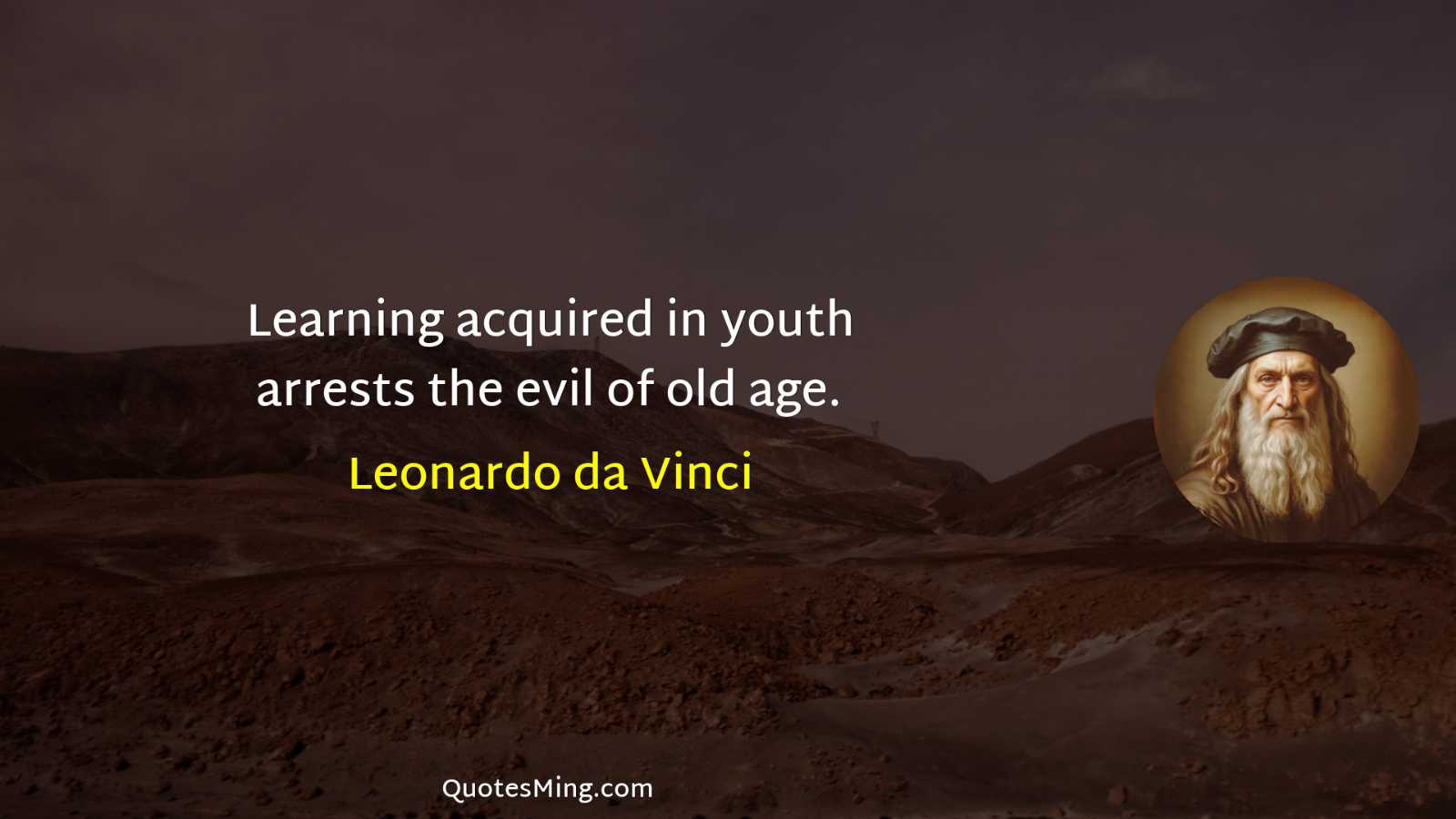 Learning acquired in youth arrests the evil of old age