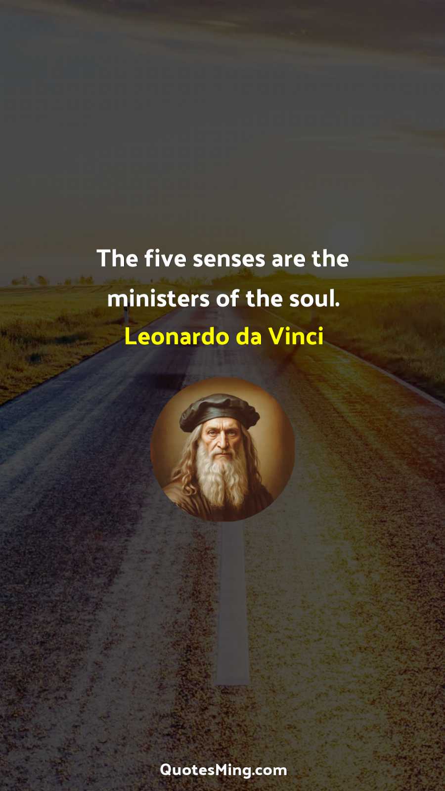 The five senses are the ministers of the soul