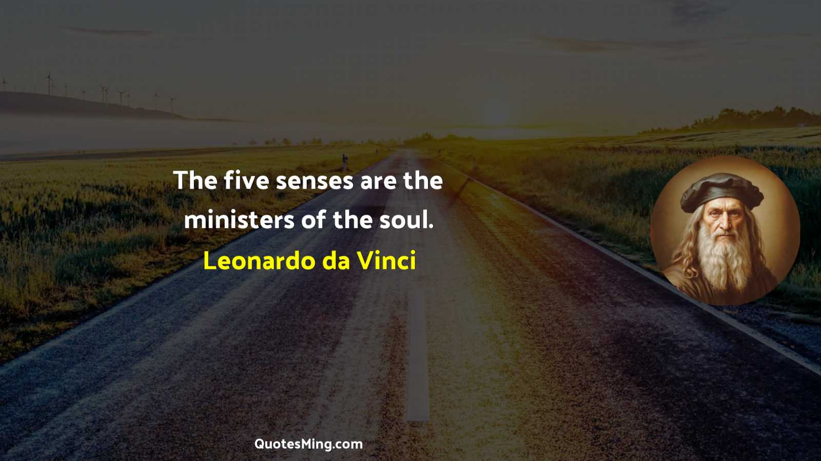 The five senses are the ministers of the soul