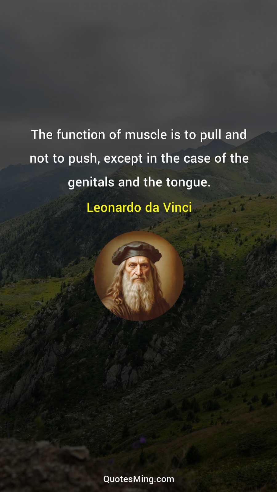 The function of muscle is to pull and not to