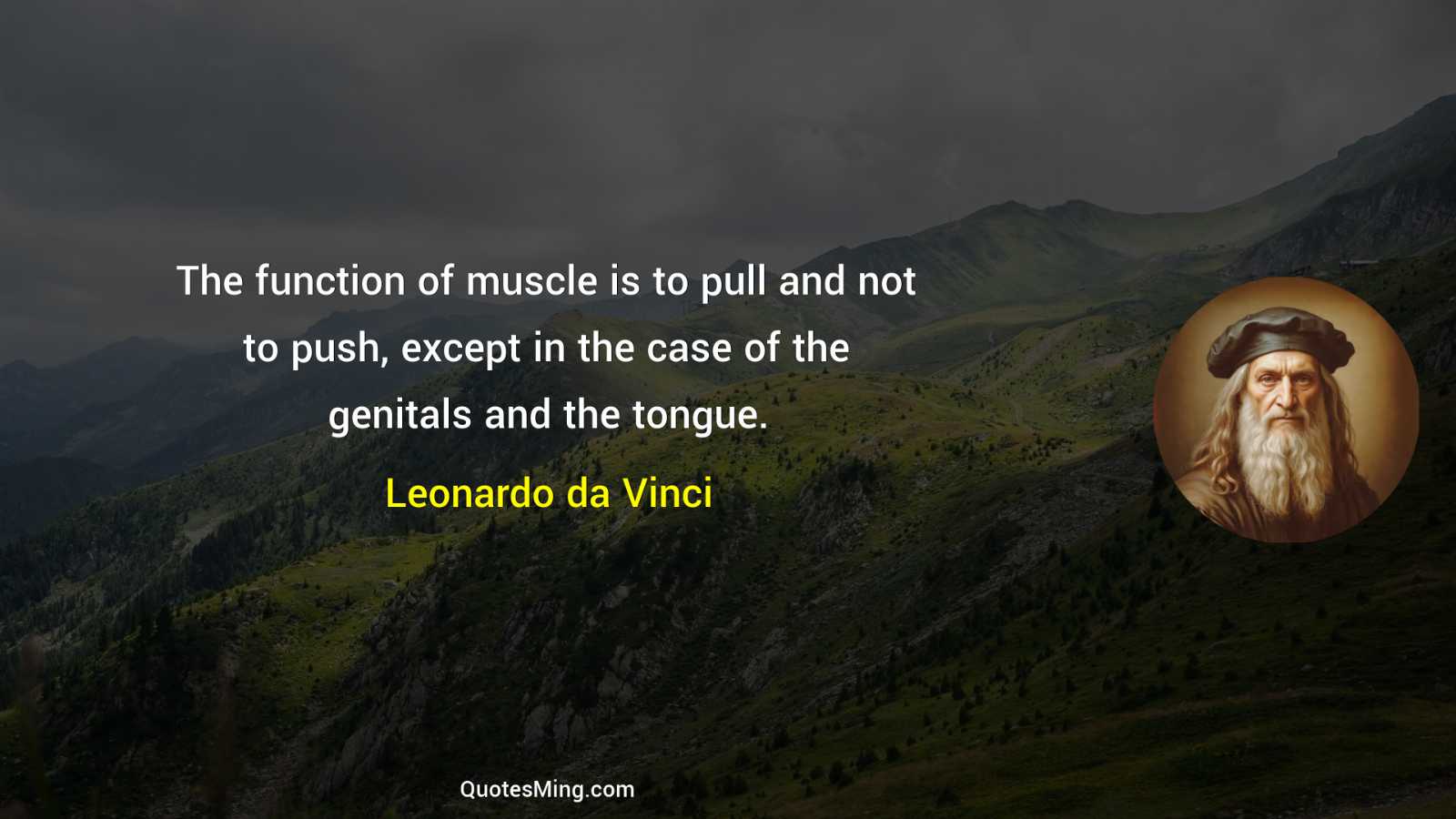 The function of muscle is to pull and not to