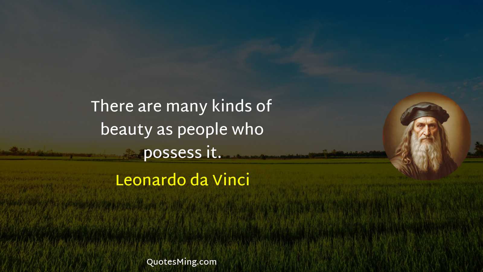 There are many kinds of beauty as people who possess