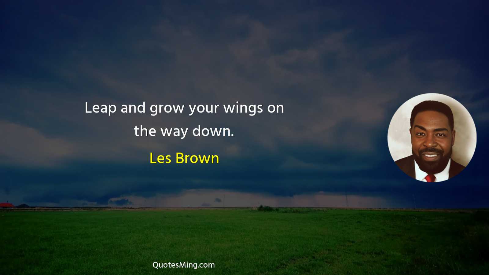 Leap and grow your wings on the way down