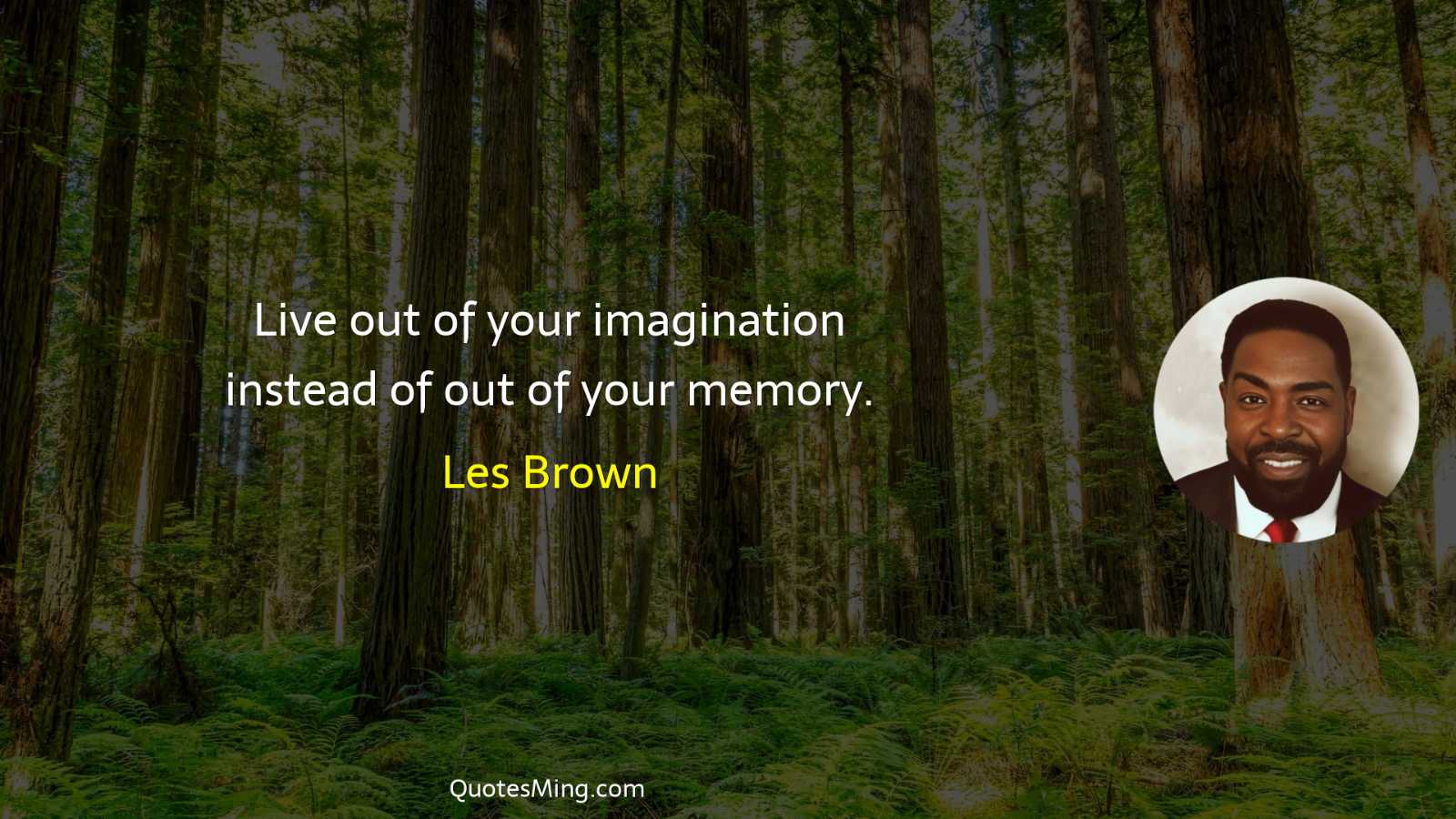 Live out of your imagination instead of out of your