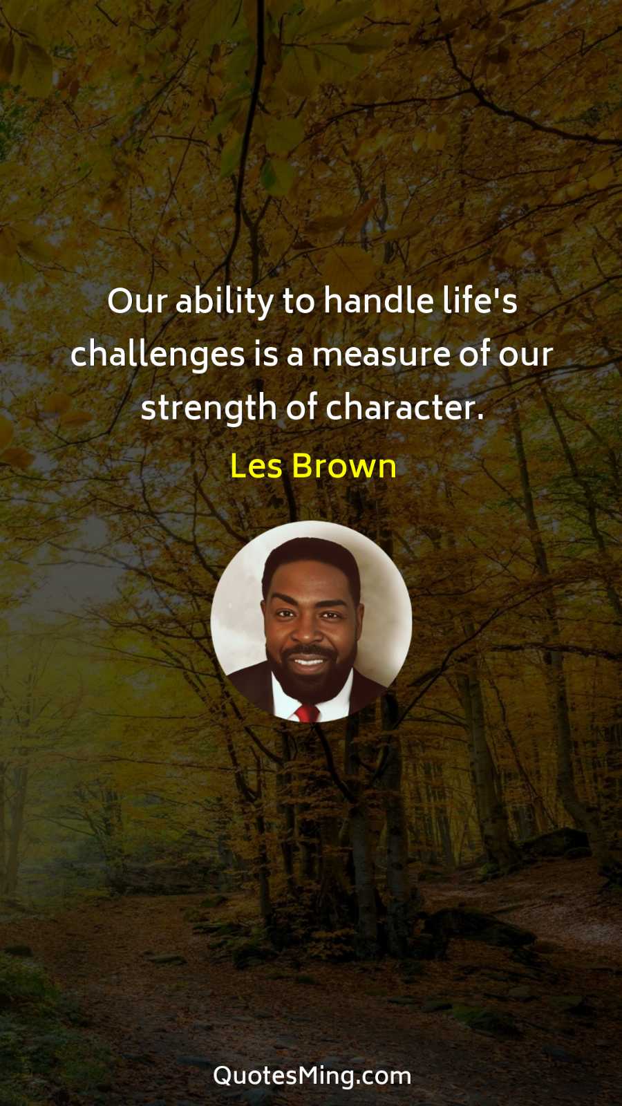 Our ability to handle life's challenges is a measure of