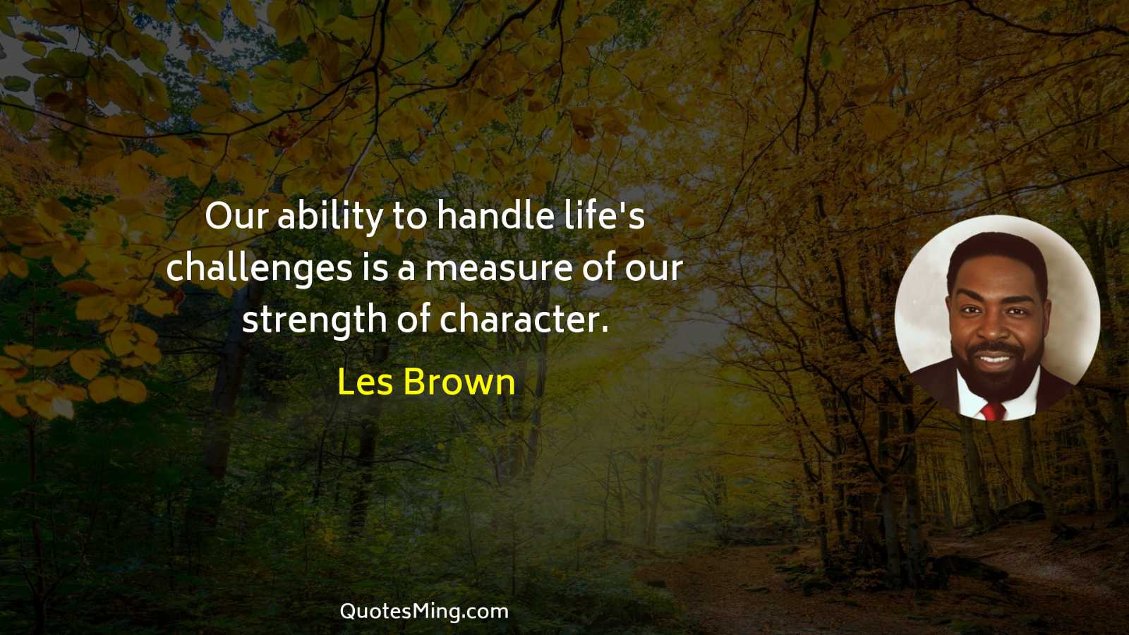 Our ability to handle life's challenges is a measure of