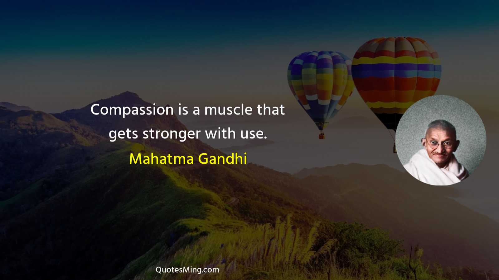 Compassion is a muscle that gets stronger with use