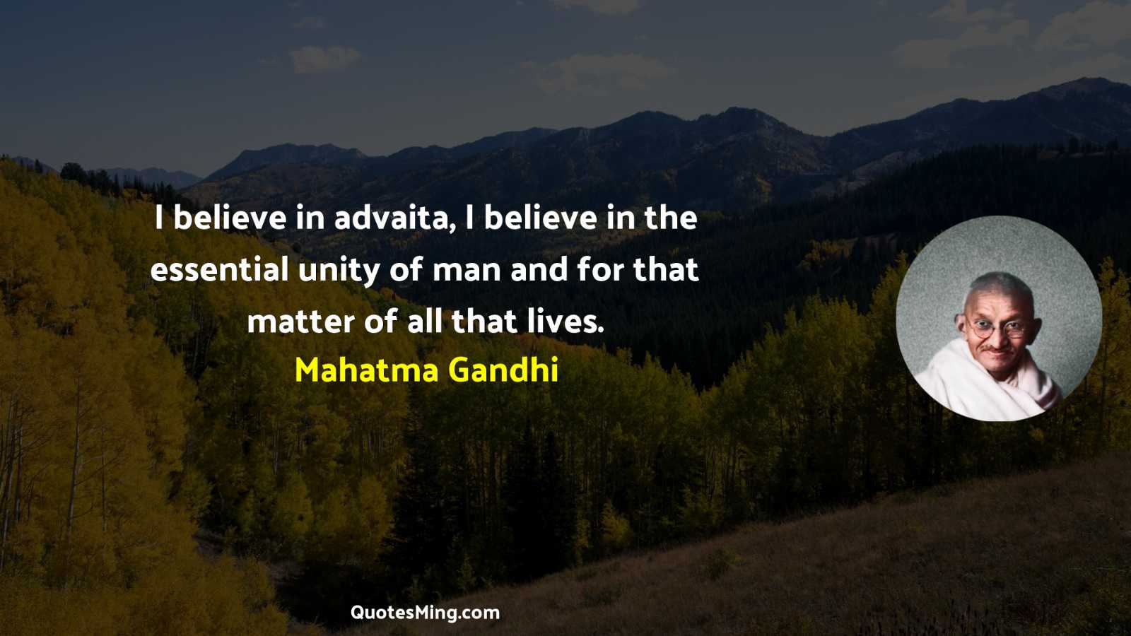 I believe in advaita I believe in the essential unity