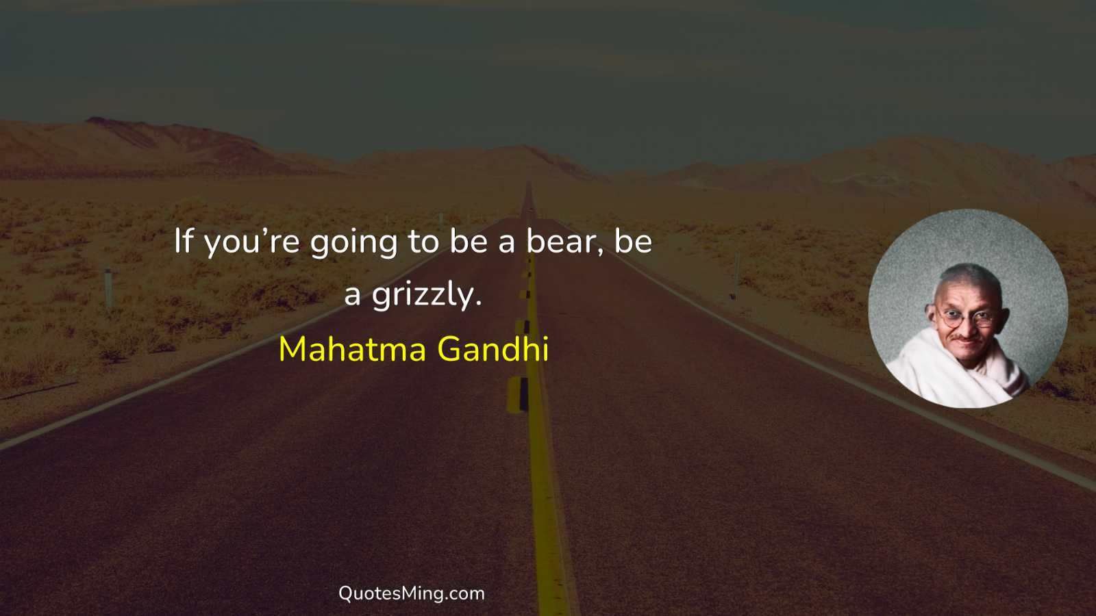 If you’re going to be a bear be a grizzly