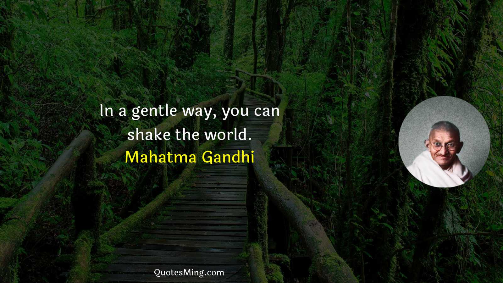 In a gentle way you can shake the world