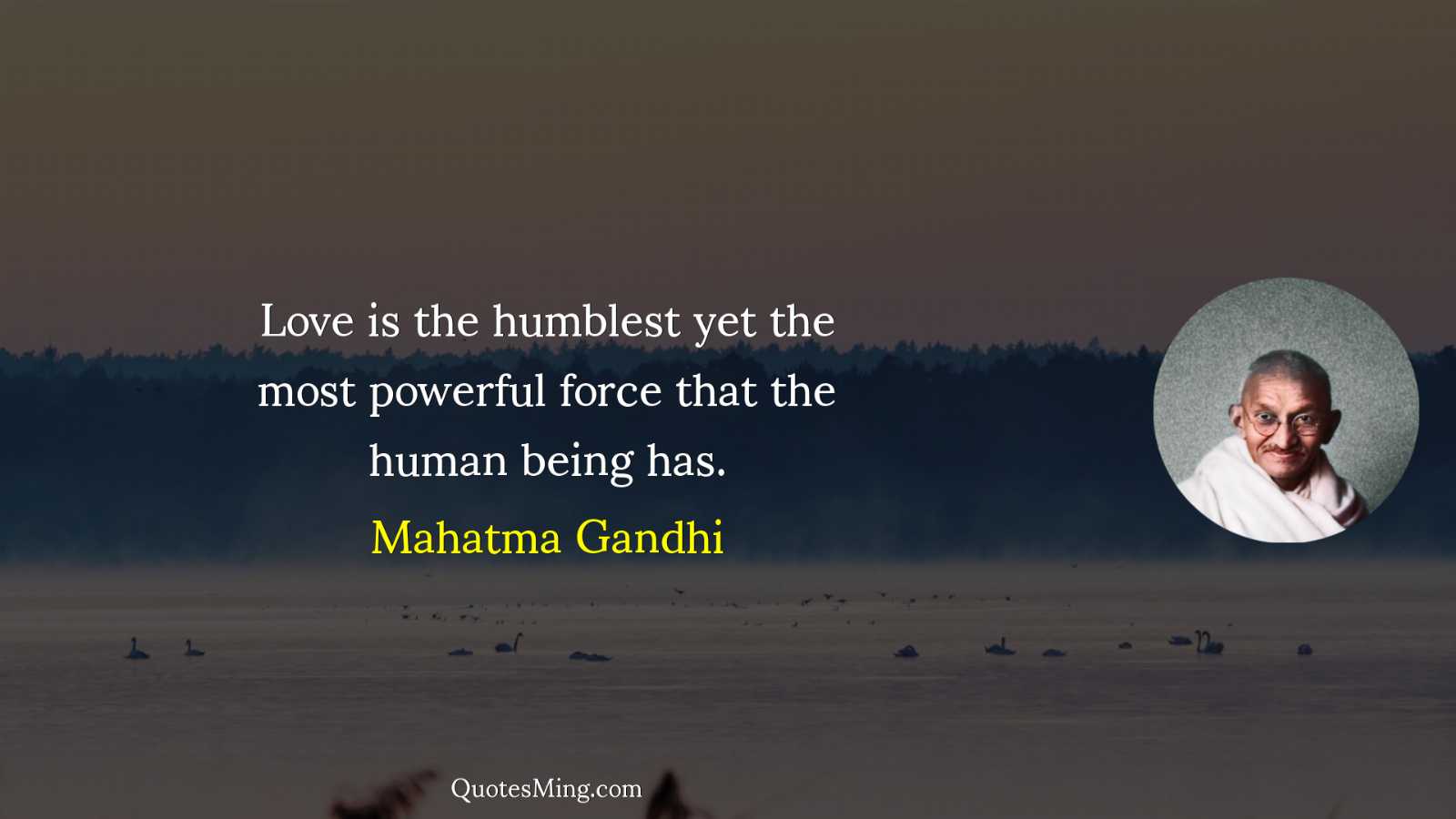 Love is the humblest yet the most powerful force that