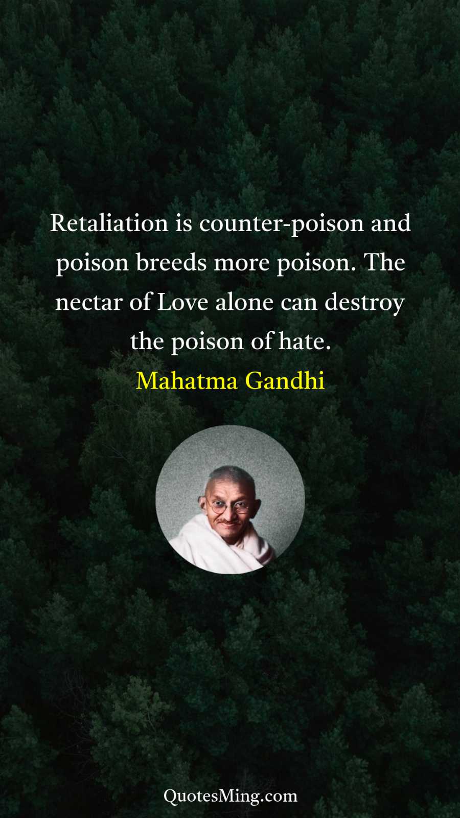 Retaliation is counter-poison and poison breeds more poison The nectar