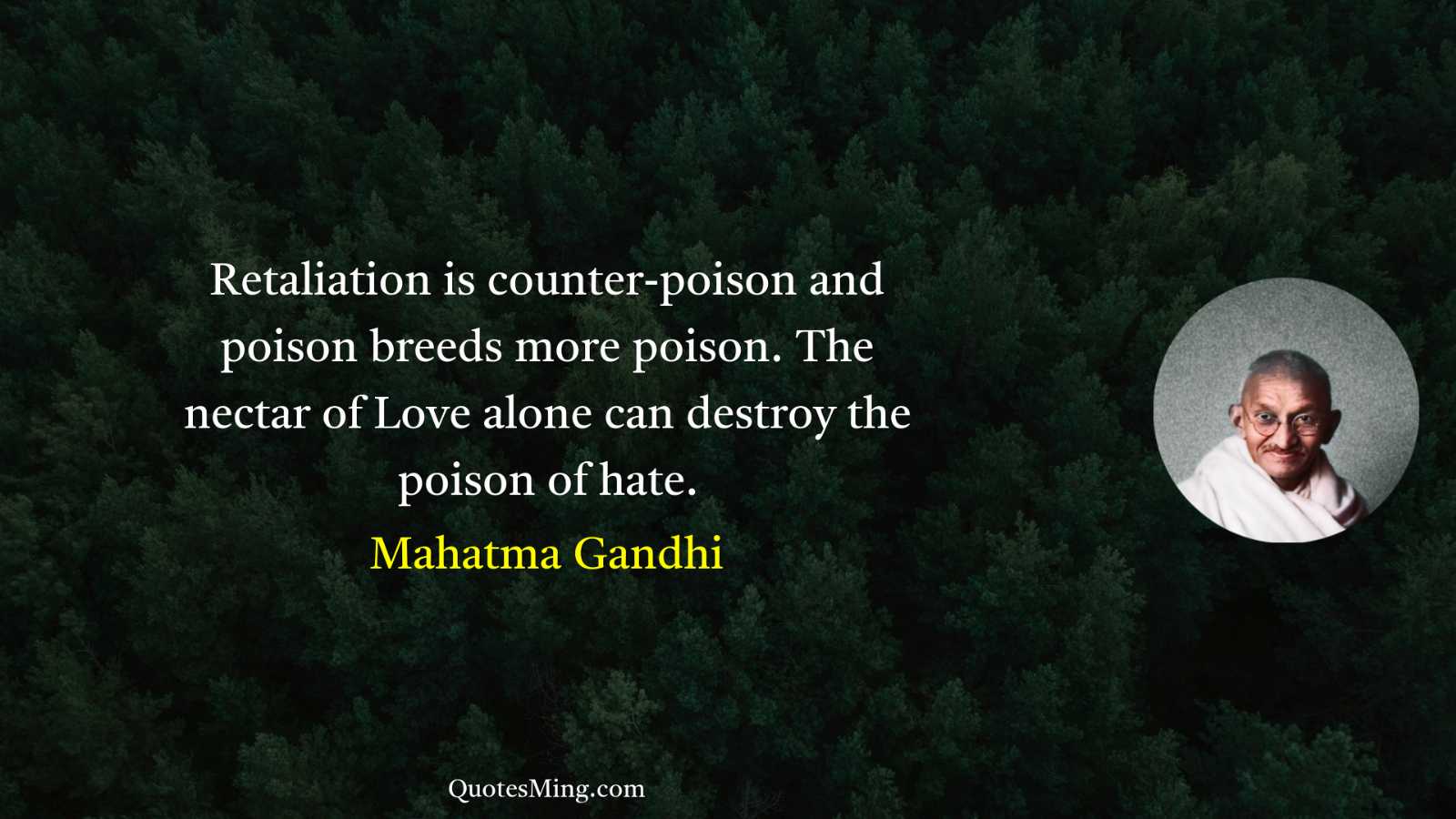 Retaliation is counter-poison and poison breeds more poison The nectar