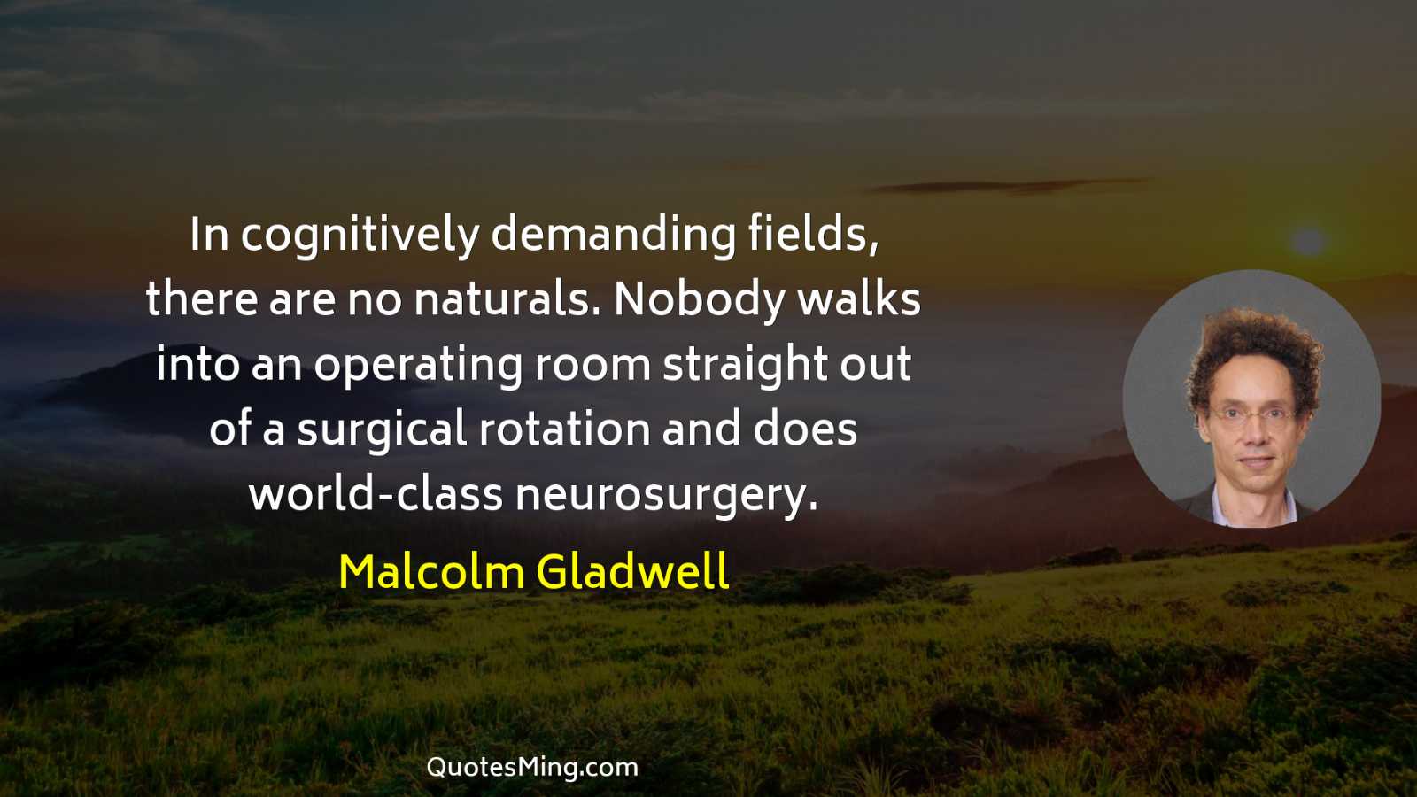 In cognitively demanding fields there are no naturals Nobody walks