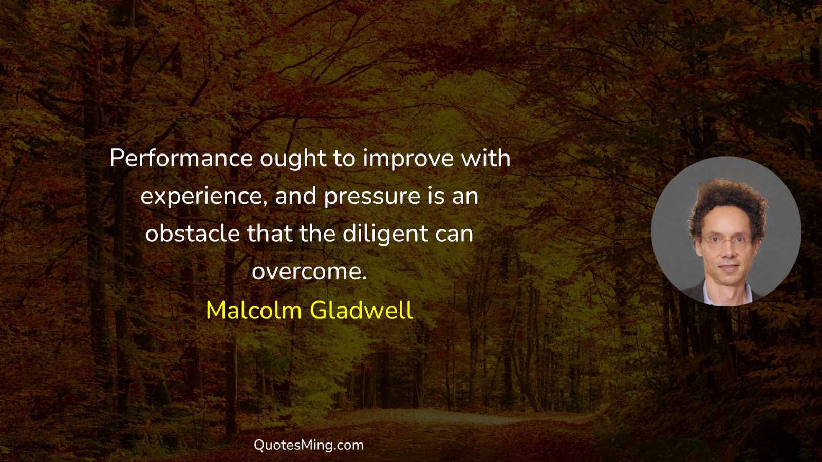 Performance ought to improve with experience and pressure is an