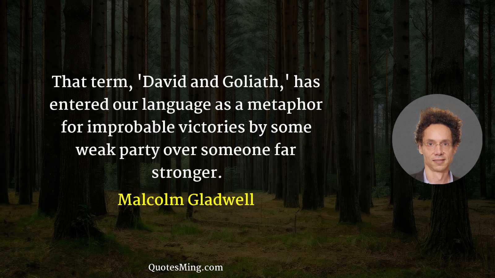 That term 'David and Goliath' has entered our language as