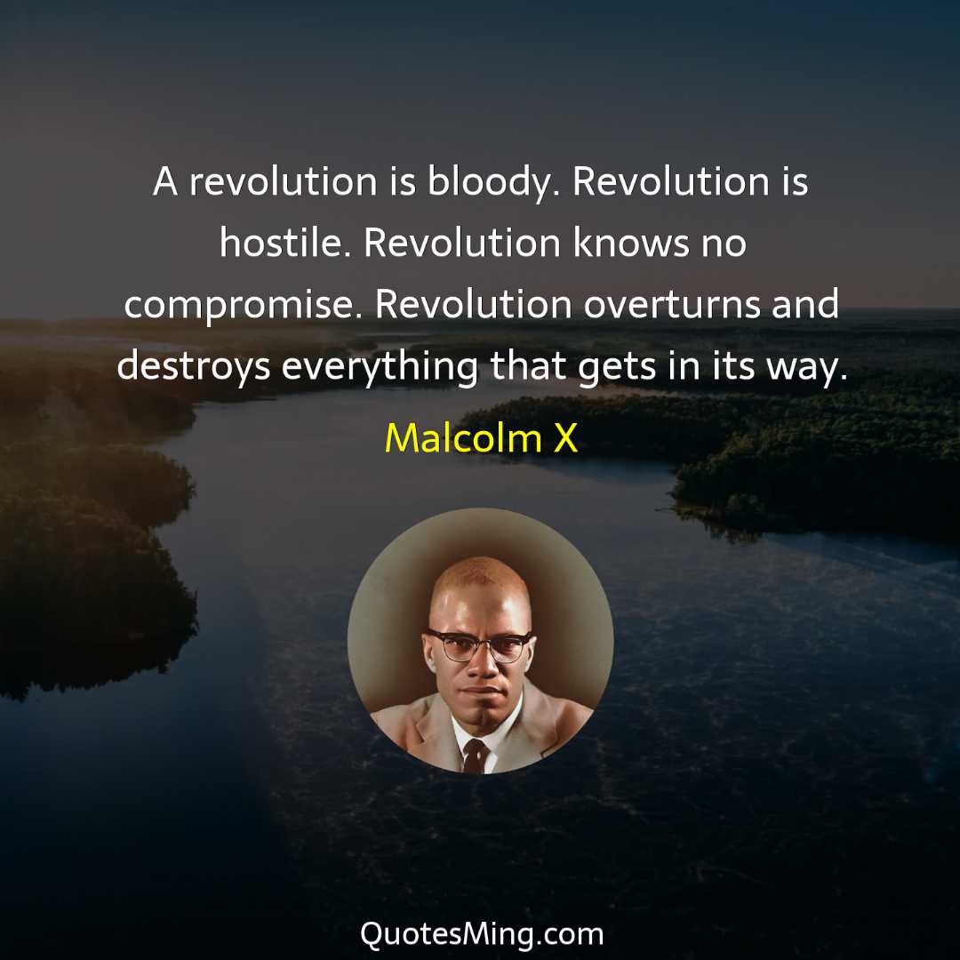 A revolution is bloody Revolution is hostile Revolution knows no