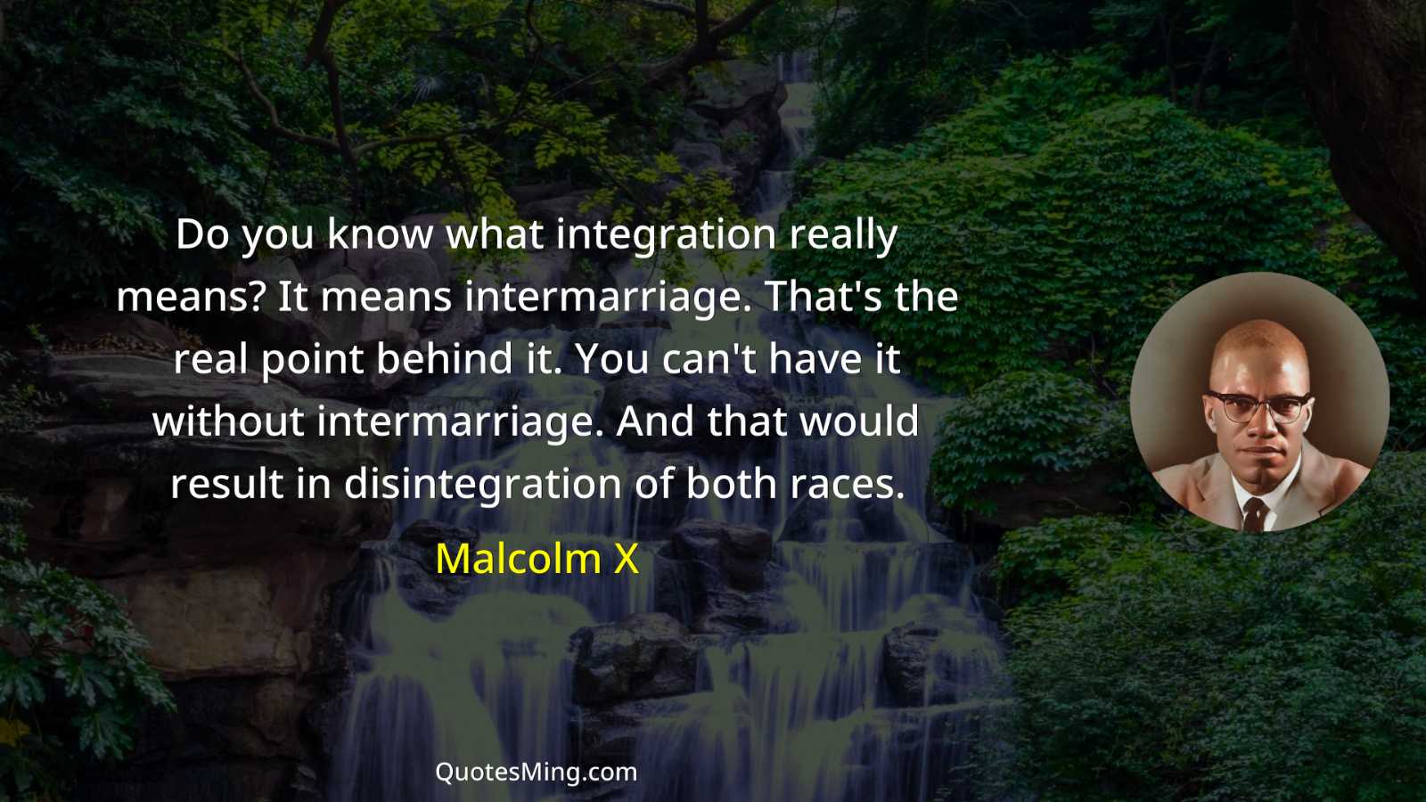 Do you know what integration really means? It means intermarriage