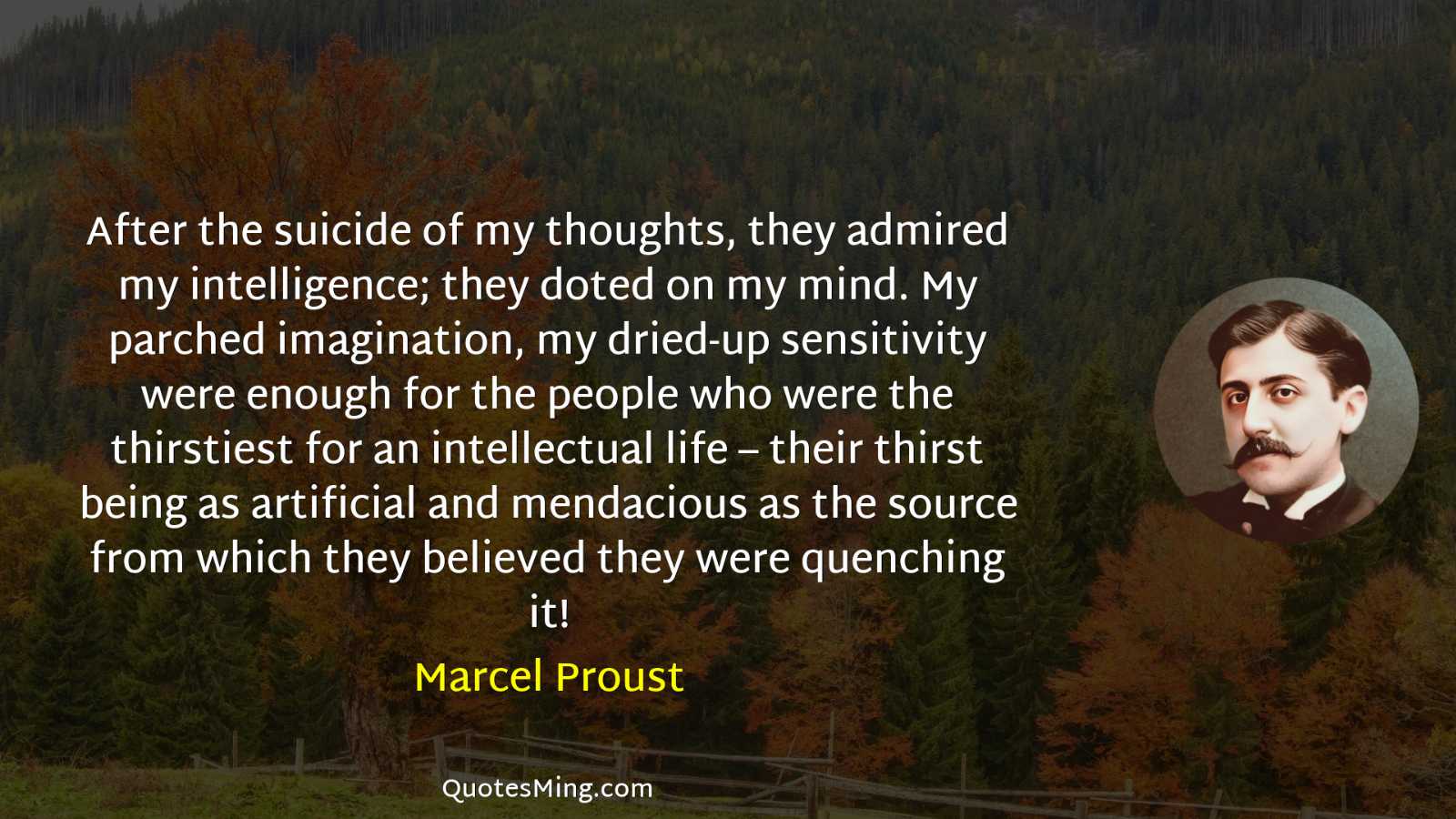 After the suicide of my thoughts they admired my intelligence;