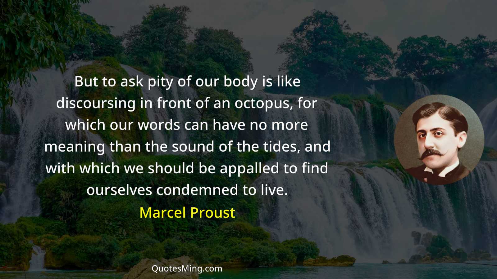 But to ask pity of our body is like discoursing