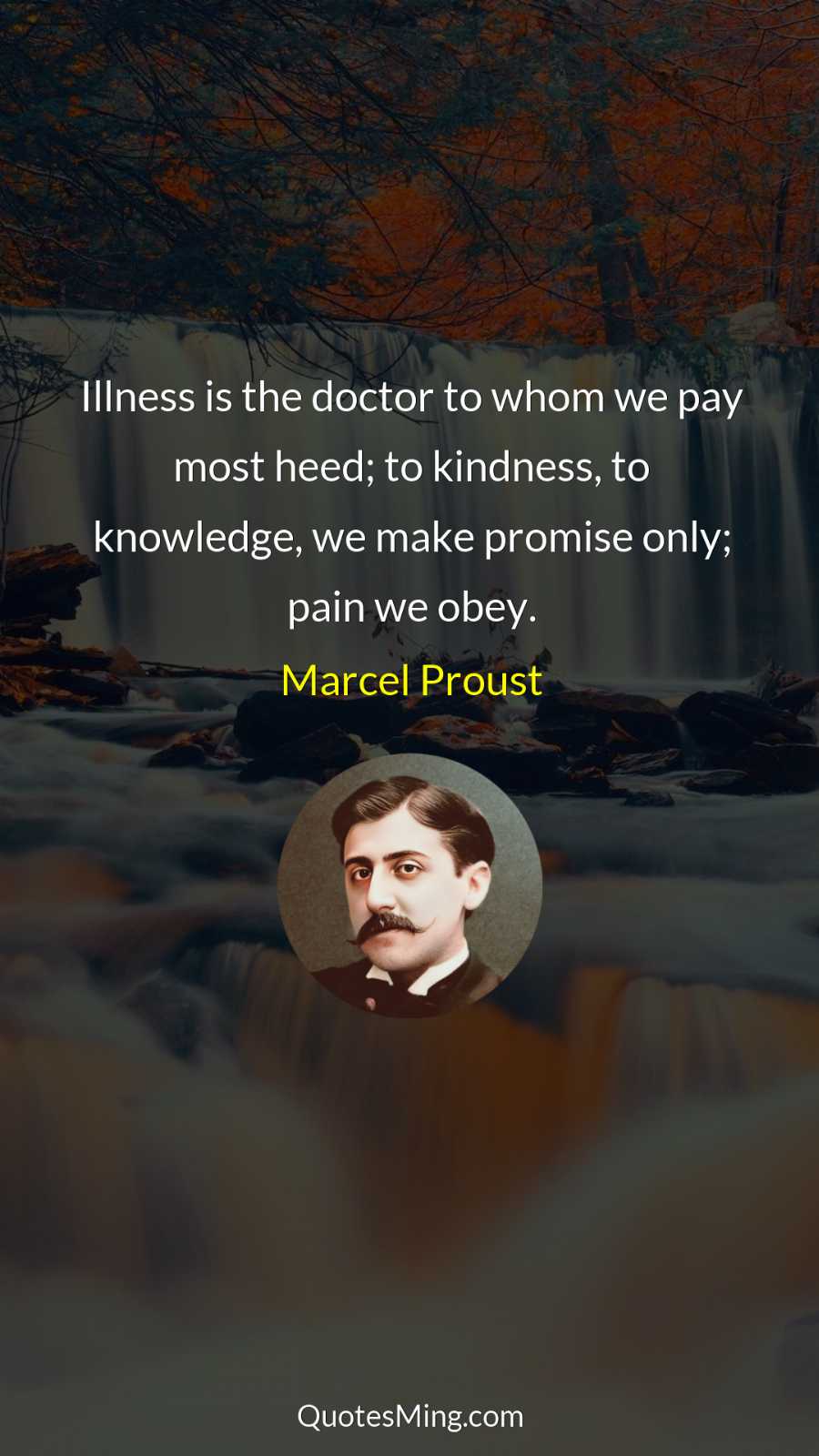 Illness is the doctor to whom we pay most heed;