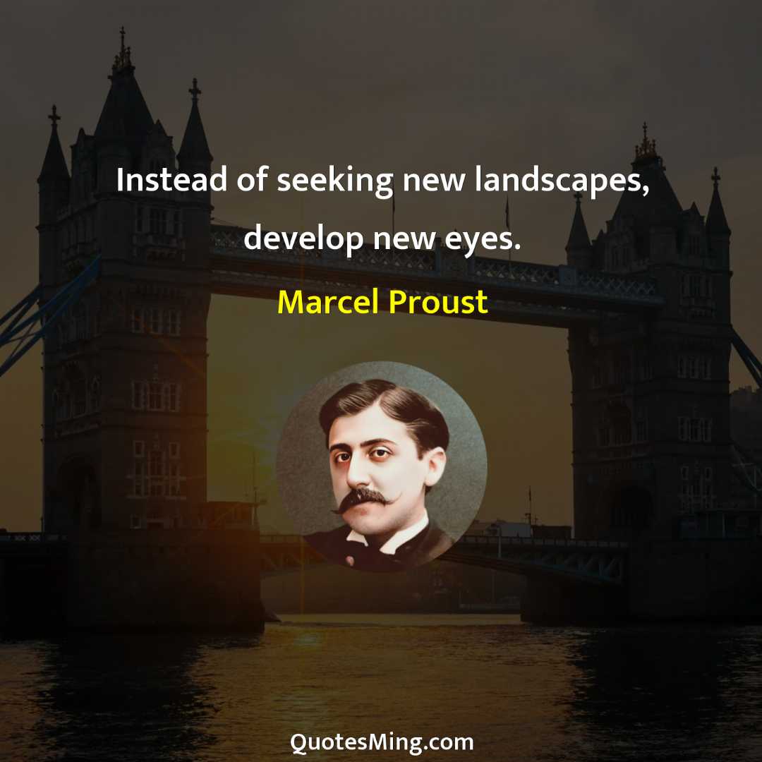 Instead of seeking new landscapes develop new eyes